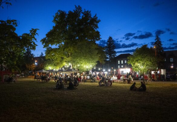 Noční atmosféra a diváci v parku na Letní filmové škole