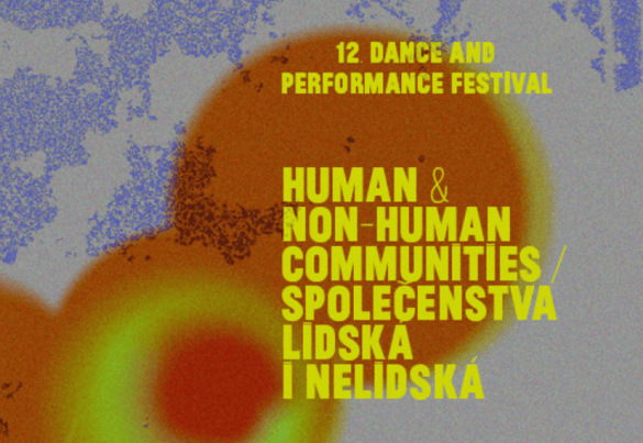 vizuální identita festivalu